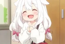 2026年01月08日更新24个免费节点,速度2.49M/S,支持SSR/V2ray/Clash客户端 - AirportNode